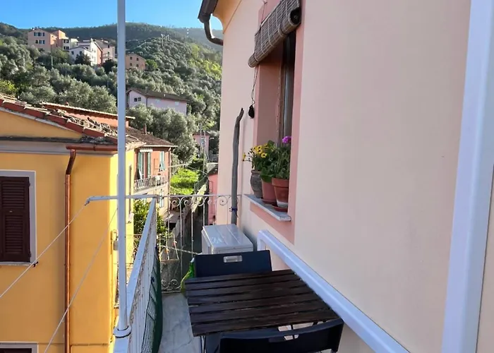 Il Nido Delle Taccole